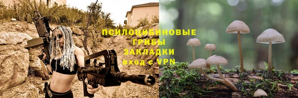 прущая мука Кукмор