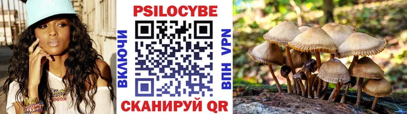 Псилоцибиновые грибы Cubensis Ялуторовск