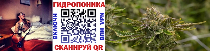 наркота  Ялуторовск  МАРИХУАНА гибрид 